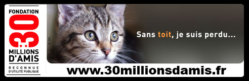 Cliquez-ici pour accéder au site de la Fondation