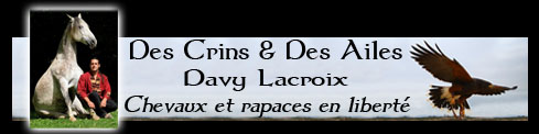 Cliquez-ici pour accéder au site !
