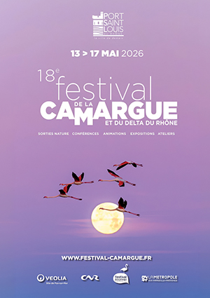 Cliquez sur l'affiche pour accéder au site officiel !